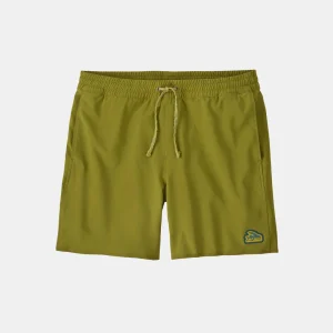 Patagonia Men's Hydropeak Volley Shorts 16 In Graze Green